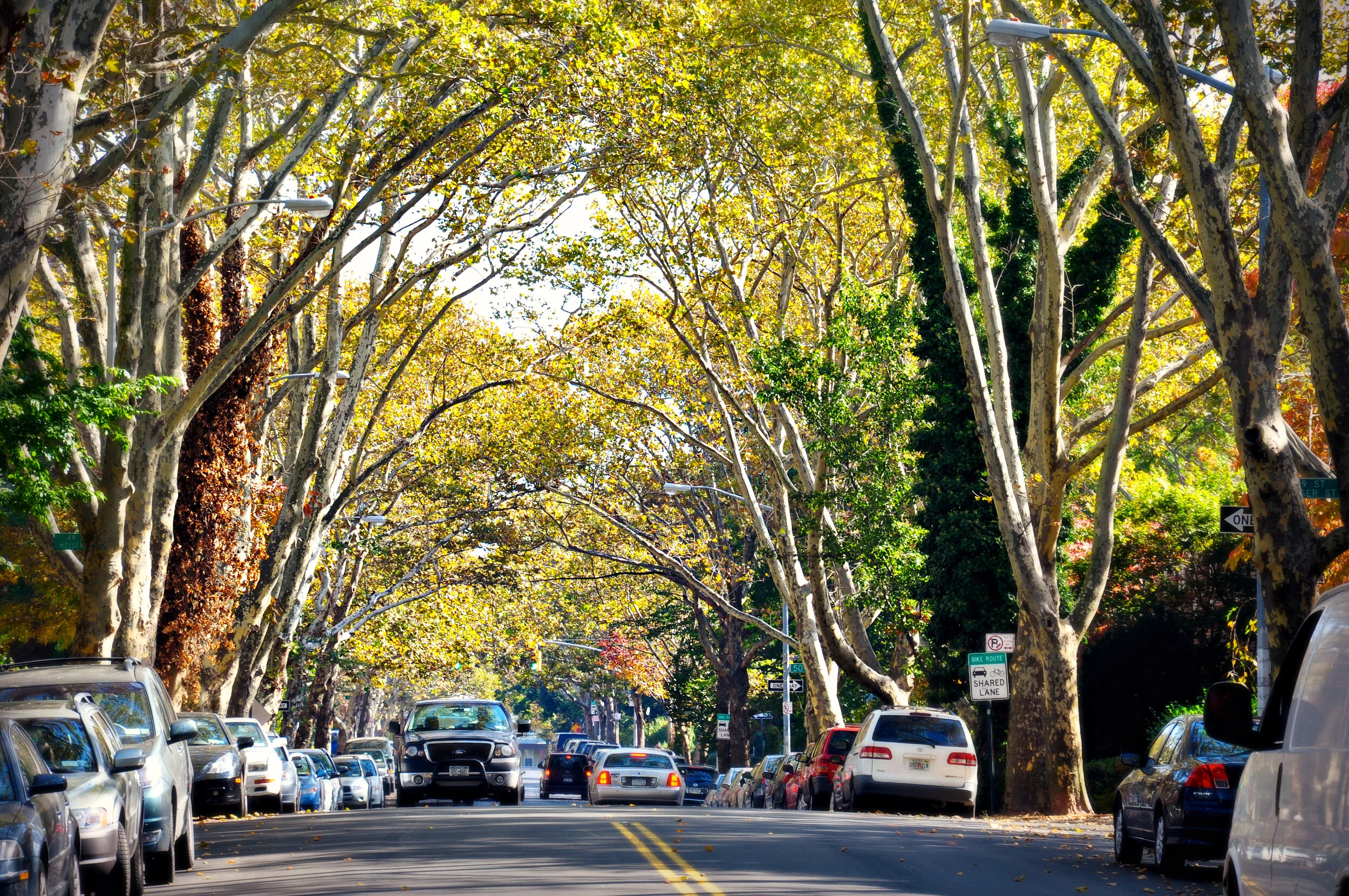 Citykin Guide To Sunnyside,Queens — Citykin